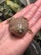 Lepidobatrachus laevis 40009 фото 3