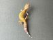 Эублефар (лат. Eublepharis macularius) - Tremper Albino 11004 фото 2