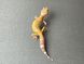 Еублефар (лат. Eublepharis macularius) - Tremper Albino 11004 фото 3