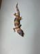 Tremper albino white & yellow  1801 фото 2