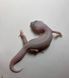 Blizzard Tremper albino  het eclipse 1817 фото 2